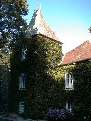 Schlo&szlig; Leutzmannsdorf