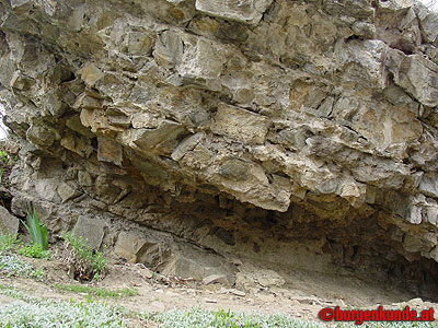 Burgruine Kuenring / Nieder&ouml;sterreich
