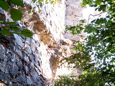 Ruine Zelking