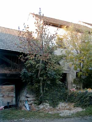 Schlo&szlig; Aich