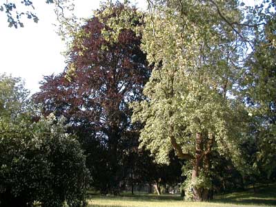 Schlo&szlig; Auhof
