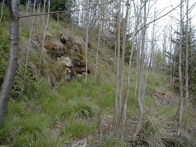 Ruine Blankenberg