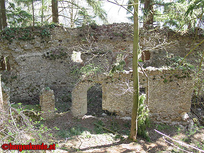 Burgruine Klingenberg / Nieder&ouml;sterreich