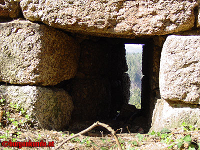 Burgruine Klingenberg / Nieder&ouml;sterreich