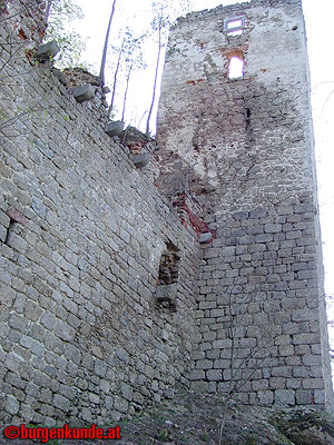 Burgruine Klingenberg / Nieder&ouml;sterreich