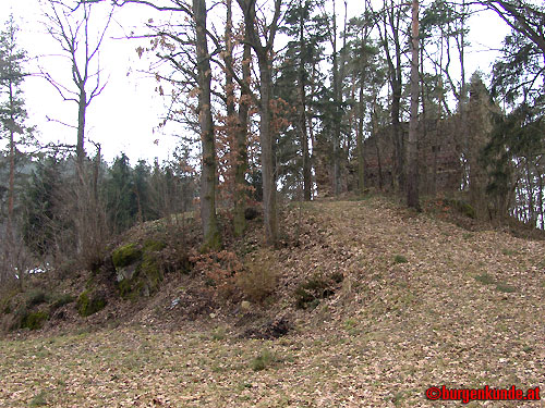 Ruine Kronast / Ober&ouml;sterreich