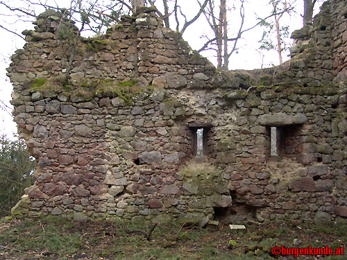 Ruine Kronast / Ober&ouml;sterreich
