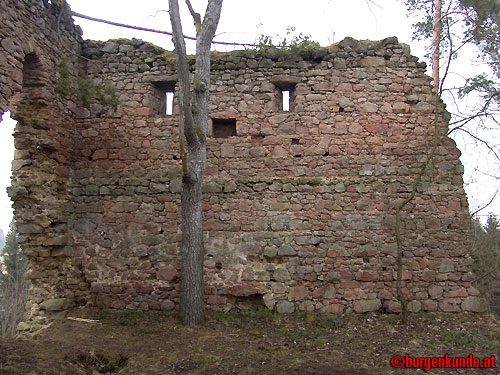 Ruine Kronast / Ober&ouml;sterreich