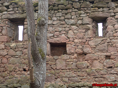 Ruine Kronast / Ober&ouml;sterreich