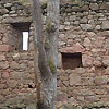Ruine Kronast / Ober&ouml;sterreich