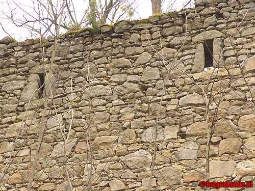 Ruine Kronast / Ober&ouml;sterreich