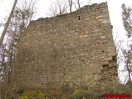 Ruine Kronast / Ober&ouml;sterreich