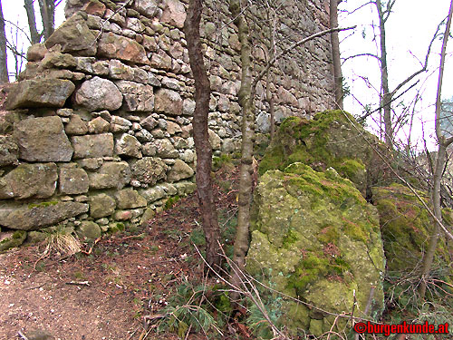 Ruine Kronast / Ober&ouml;sterreich
