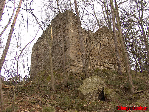 Ruine Kronast / Ober&ouml;sterreich