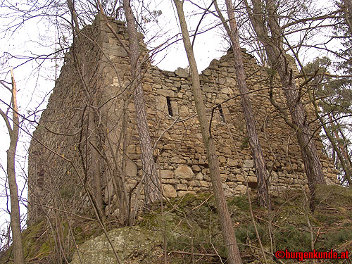 Ruine Kronast / Ober&ouml;sterreich