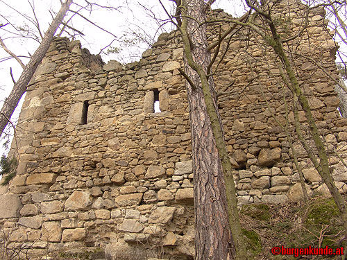 Ruine Kronast / Ober&ouml;sterreich
