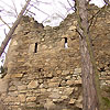 Ruine Kronast / Ober&ouml;sterreich