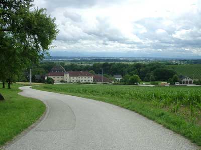 Schlo&szlig; Mistelbach