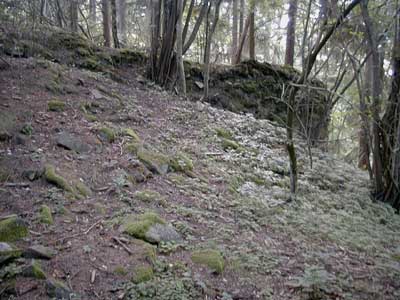 Ruine M&ouml;stling