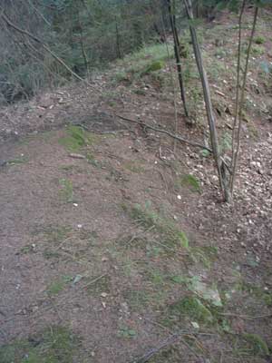 Ruine M&ouml;stling