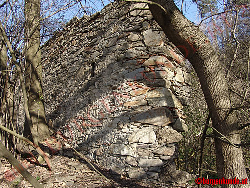 Burg Luftenberg / Ober&ouml;sterreich