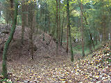 Burgstall Hausberg Wasenberg / Ober&ouml;sterreich