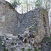 Burgruine Ruttenstein / Ober&ouml;sterreich