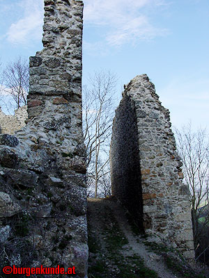 Burgruine Ruttenstein / Ober&ouml;sterreich