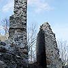 Burgruine Ruttenstein / Ober&ouml;sterreich