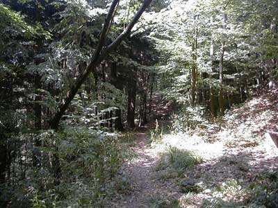 Ruine S&auml;bnich
