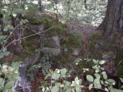 Ruine S&auml;bnich