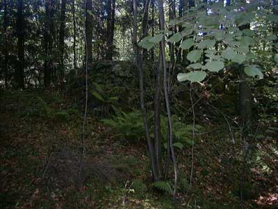 Ruine S&auml;bnich