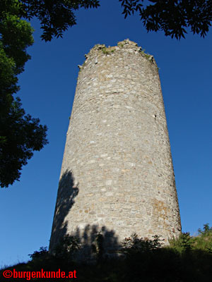 Ruine Waxenberg / Ober&ouml;sterreich