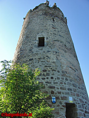 Ruine Waxenberg / Ober&ouml;sterreich