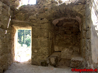 Ruine Windhaag / Ober&ouml;sterreich