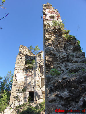 Ruine Windhaag / Ober&ouml;sterreich