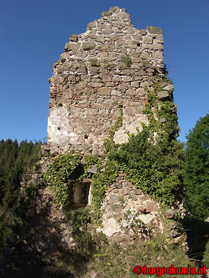 Ruine Windhaag / Ober&ouml;sterreich
